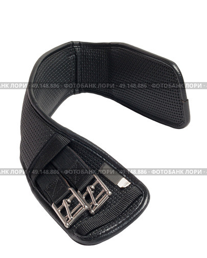  dressage black softness girth isolated on white. Стоковое фото, агентство Ingram Publishing / Фотобанк Лори