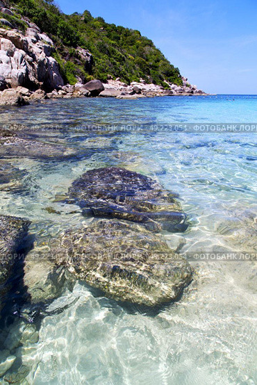  kho tao bay isle white  beach    rocks in thailand asia and south china sea . Стоковое фото, агентство Ingram Publishing / Фотобанк Лори