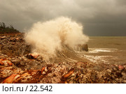 Огромная волна. Шторм на море Арафура. Стоковое фото, фотограф Eleanor Wilks / Фотобанк Лори