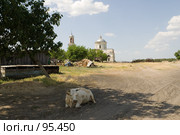 На улице станицы Еланской Ростовской области. Стоковое фото, фотограф Борис Панасюк / Фотобанк Лори