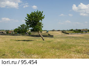 В станице Еланской Ростовской области. Стоковое фото, фотограф Борис Панасюк / Фотобанк Лори