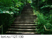 Могилев. Лестница в заброшенном туристическом комплексе (2007 год). Стоковое фото, фотограф Виктор Пелих / Фотобанк Лори
