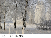 Зимняя сказка. Стоковое фото, фотограф Герман Филатов / Фотобанк Лори