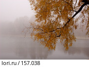 Над прудом. Стоковое фото, фотограф Julia Shepeleva / Фотобанк Лори