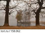 Пруд в парке. Стоковое фото, фотограф Julia Shepeleva / Фотобанк Лори