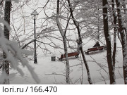 Зимняя сказка. Стоковое фото, фотограф Татьяна Макотра / Фотобанк Лори