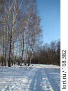 Лыжня. Стоковое фото, фотограф Карелин Д.А. / Фотобанк Лори