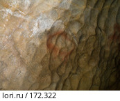 Заблудившийся мамонтенок (2007 год). Редакционное фото, фотограф Вячеслав Потапов / Фотобанк Лори