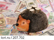 Ёжик-копилка. Стоковое фото, фотограф Игорь Веснинов / Фотобанк Лори