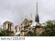 Собор Парижской Богоматери (2007 год). Стоковое фото, фотограф Юлия Кузнецова / Фотобанк Лори