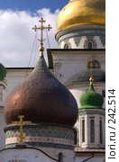 Истра. Купол подземной церкви Константина и Елены на фоне Воскресенского собора (2008 год). Стоковое фото, фотограф Julia Nelson / Фотобанк Лори