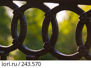Фрагменты чугунной старинной ограды. Стоковое фото, фотограф Harry / Фотобанк Лори