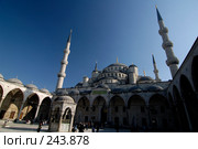 Внутренний двор Голубой мечети. Стамбул, Турция (2007 год). Стоковое фото, фотограф Алексей Зарубин / Фотобанк Лори
