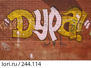 Дура! (2008 год). Редакционное фото, фотограф Игорь Веснинов / Фотобанк Лори