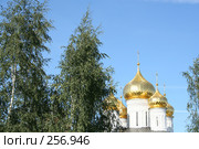 Собор Богоявленского Анастасьинского монастыря. Стоковое фото, фотограф ElenArt / Фотобанк Лори