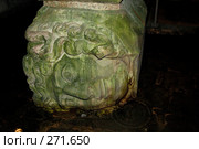 Голова Медузы Горгоны (2007 год). Редакционное фото, фотограф Алексей Зарубин / Фотобанк Лори