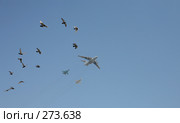 Самолет-заправщик ИЛ-78 в сопровождении Су-24, Cу-34 и голубей (2008 год). Редакционное фото, фотограф Наталья Волкова / Фотобанк Лори
