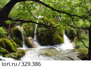 Ручей. Стоковое фото, фотограф Иван Демьянов / Фотобанк Лори