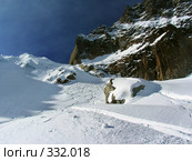 Следы сноубордистов в Белой долине (Шамони, Франция) Стоковое фото, фотограф Дмитрий Яковлев / Фотобанк Лори