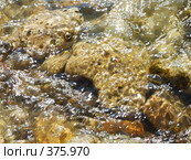 Водяная мозаика. Стоковое фото, фотограф Александр Тихонов / Фотобанк Лори