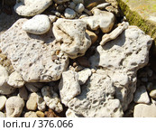 Берега Цимлянского моря - камни, галька, ракушечник и лесс. Стоковое фото, фотограф Александр Тихонов / Фотобанк Лори