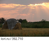Стог на закате. Стоковое фото, фотограф Ольга Романенко / Фотобанк Лори