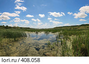 Летний пейзаж с прудом (панорама) Стоковое фото, фотограф Denis Kh. / Фотобанк Лори