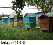 Пасека, ульи. Стоковое фото, фотограф Ольга Романенко / Фотобанк Лори