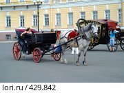 Открытая карета (2007 год). Редакционное фото, фотограф Омельян Светлана / Фотобанк Лори
