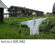 Пугало (2008 год). Редакционное фото, фотограф Илекс / Фотобанк Лори