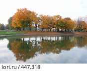 Осень в городском парке. Стоковое фото, фотограф Valeriy Novikov / Фотобанк Лори