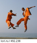 Кунг-фу (2008 год). Редакционное фото, фотограф Андрей Гривцов / Фотобанк Лори
