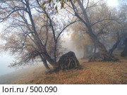 Ползущие в тумане... Стоковое фото, фотограф Круглов Олег / Фотобанк Лори
