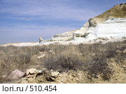 Чинк плато Устюрт (2008 год). Стоковое фото, фотограф Охотникова Екатерина *Фототуристы* / Фотобанк Лори