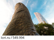 Де Фанс. Париж (2008 год). Редакционное фото, фотограф Михаил Мандрыгин / Фотобанк Лори