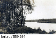 Ст.Бернгардовка - Вид на озеро, открытка 1914 года (без реставрации) Стоковое фото, фотограф Светлана Лебедева / Фотобанк Лори