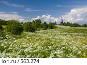 Ленинградская область. Гимрека. Церковь Рождества Богородицы. Стоковое фото, фотограф Александр Бобырь / Фотобанк Лори