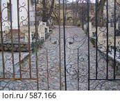 Кованые ворота. Стоковое фото, фотограф Вадим / Фотобанк Лори