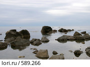 Камни в море во время вечернего отлива. Стоковое фото, фотограф RedTC / Фотобанк Лори