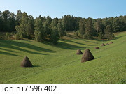 Стога сена на лужайке. Стоковое фото, фотограф Виктор Уткин / Фотобанк Лори