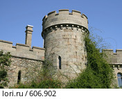 Башня. Воронцовский дворец. Крым. Украина (2008 год). Редакционное фото, фотограф Denis Kh. / Фотобанк Лори