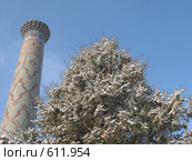 Узбекистан, Самарканд (2008 год). Стоковое фото, фотограф Легкобыт Николай / Фотобанк Лори