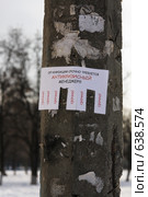 Объявление на столбе о поиске антикризисного менеджера. Стоковое фото, фотограф Андрей Ижаковский / Фотобанк Лори
