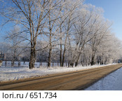 Тополиная аллея зимой. Стоковое фото, фотограф Александр Шилин / Фотобанк Лори