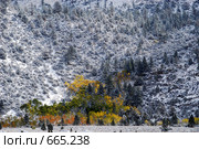 Склоны гор, Америка (2008 год). Стоковое фото, фотограф Estet / Фотобанк Лори