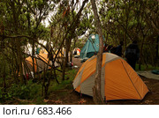 Палаточный лагерь Мачаме (Machame camp),  Килиманджаро, Танзания (2008 год). Стоковое фото, фотограф Алексей Зарубин / Фотобанк Лори