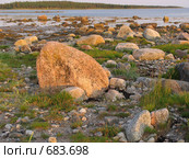 Берег Белого моря в вечернем освещении. Соловки. Стоковое фото, фотограф Т. З. / Фотобанк Лори