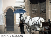 Возница заботящийся о своей лошади (2008 год). Стоковое фото, фотограф Pukhov K / Фотобанк Лори