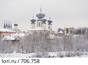 Купола Храма Успения Божией Матери в г. Тихвине, вид со стороны реки (2009 год). Стоковое фото, фотограф Ирина Еськина / Фотобанк Лори