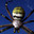 Паук аргиопа Argiope bruennichi. Стоковое фото, фотограф Варенов Дмитрий Владимирович / Фотобанк Лори